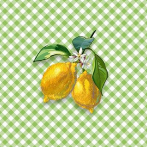 6” Embroidery Pix - Sweet Lemons | Green Gingham