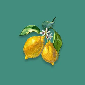 6” Embroidery Pix - Sweet Lemons | Green