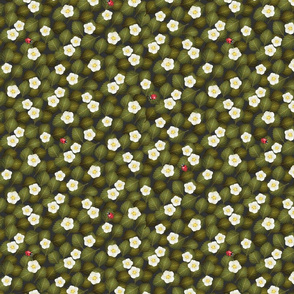 Strawberry Blossoms & Leaves With Lady Bugs On Soft Black-S