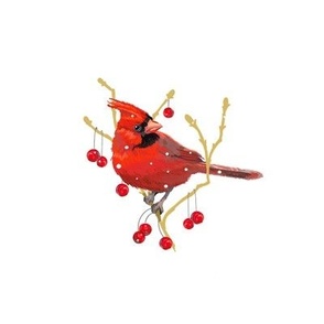 6” Embroidery Pix - Winter Cardinal - Male