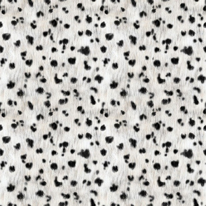 Dalmatian ,Black and White - Cow Print, Small Scale