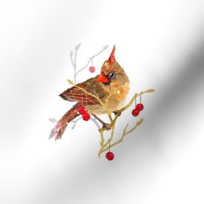 6” Embroidery Pix - Winter Cardinal - Female