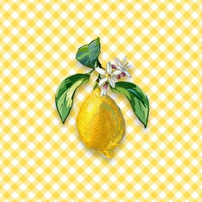 6” Embroidery Pix - Lemon | Yellow Gingham
