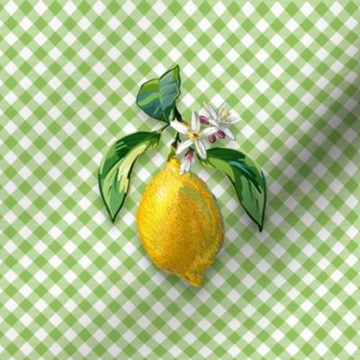 6” Embroidery Pix - Lemon | Green Gingham