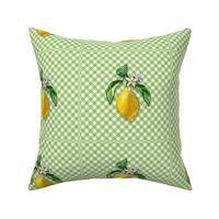 6” Embroidery Pix - Lemon | Green Gingham