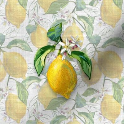 6” Embroidery Pix | Lemon Portrait |  Faux Texture