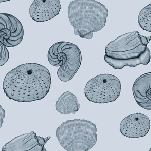 Deep Blue Seashells