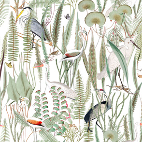 Herons in marsh on white, extra large scale