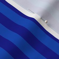 Sapphire Blue Awning Stripe Pattern Vertical in Navy Blue