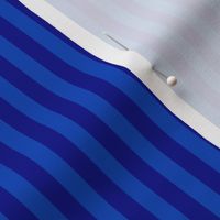 Sapphire Blue Bengal Stripe Pattern Vertical in Navy Blue