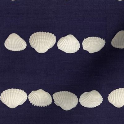 Nautical Stripe With Shells