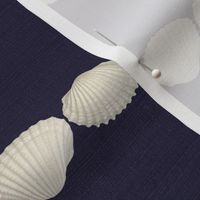Nautical Stripe With Shells