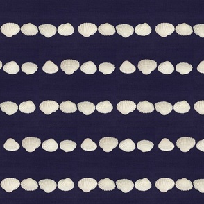 Nautical Stripe With Shells