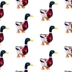 Painted ducks print (small)