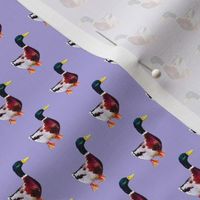 Painted duck print - lilac (mini)