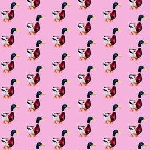 Painted duck print - pink (mini)