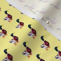 Painted duck print - yellow (small)