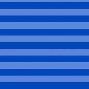 Sapphire Blue Awning Stripe Pattern Horizontal in Cornflower Blue