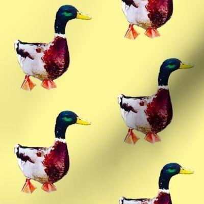 Painted duck print - yellow (medium)