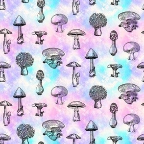 Wild Mushrooms on Pastel Tie Dye
