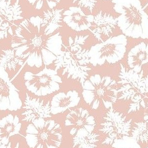 Cosmos Floral in Peachy Pink