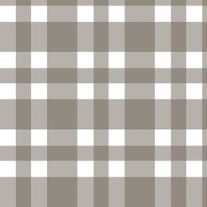 French Gray Gingham - BR