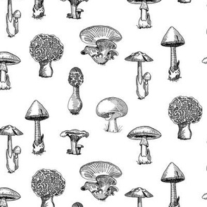 Wild Mushrooms Black on White