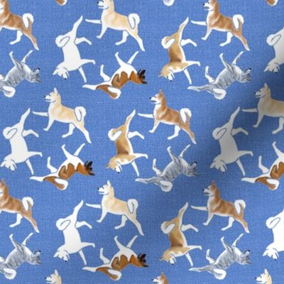 Assorted Akita Dogs on Blue Linen Look