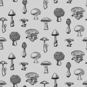 Wild Mushrooms on Cool Grey