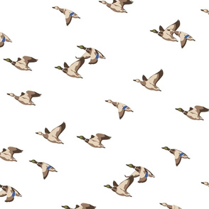 Flying Ducks - white - large scale