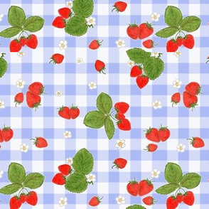Strawberries on light blue large check 