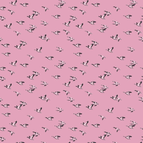 Flying Ducks - pink - tiny scale-01