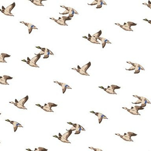 Flying Ducks - white - tiny scale