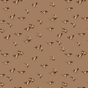 Flying Ducks - brown - small scale