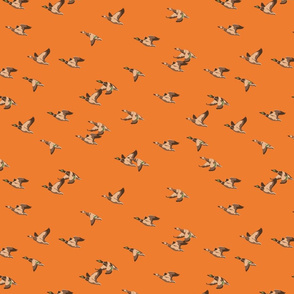 Flying Ducks - orange - small scale-01