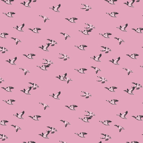 Flying Ducks - pink - small scale-01