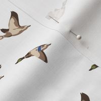 Flying Ducks - white - small scale