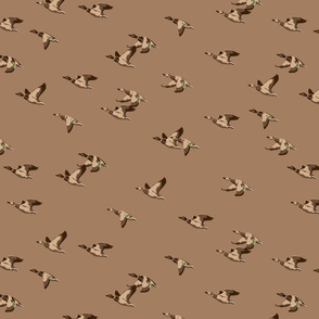 Flying Ducks - brown - medium scale