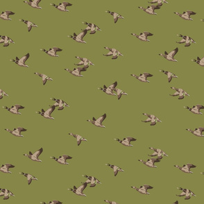 Flying Ducks - green - medium scale