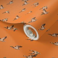 Flying Ducks - orange - medium scale-01