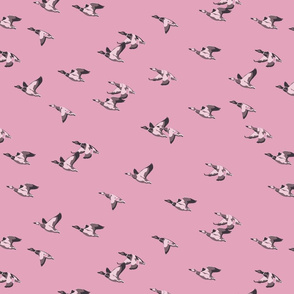 Flying Ducks - pink - medium scale-01