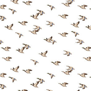 Flying Ducks - white - medium scale