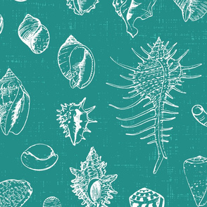 Sketched Shells on Textured Teal- extra large scale