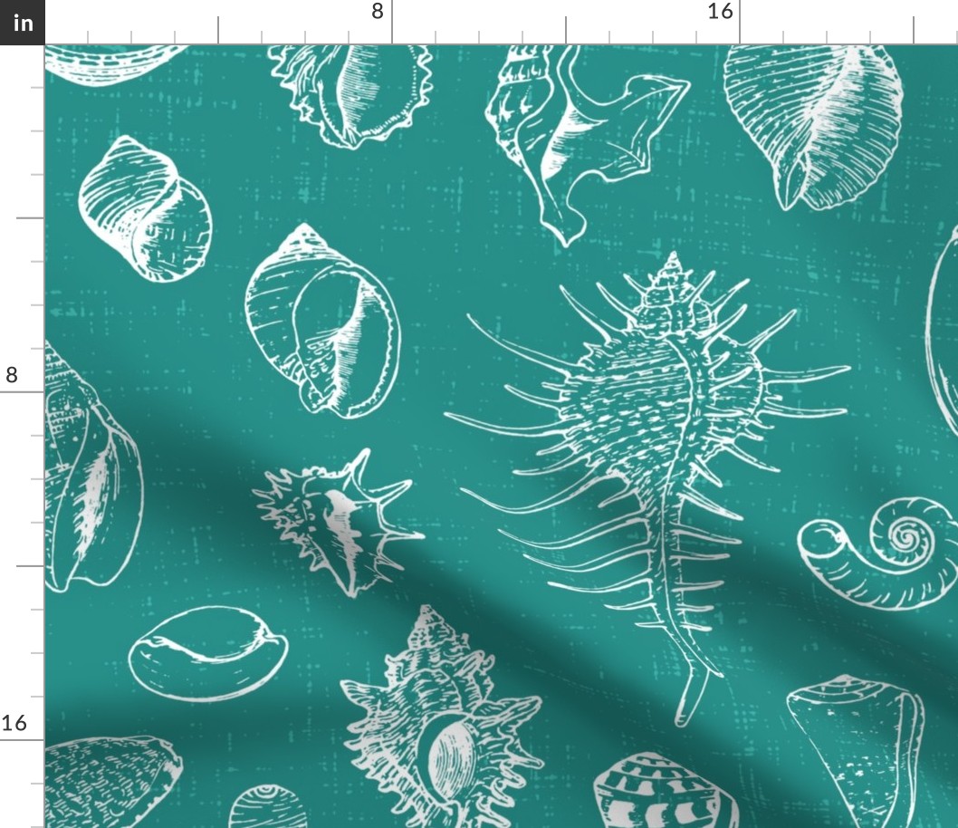 Sketched Shells on Textured Teal- extra large scale