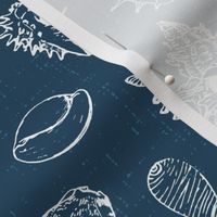 Sketched Shells on Textured Marine Blue- large scale