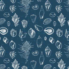 Sketched Shells on Textured Marine Blue- large scale