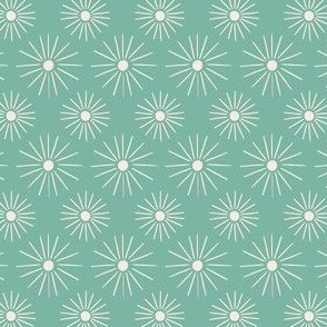 mini micro // Retro Sunburst in Whitewash on aqua Green