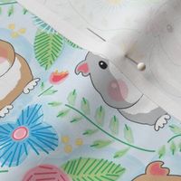 large guinea pigs and embroidered flowers on soft blue