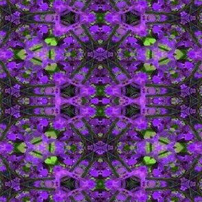 A kaleidoscope of purple flowers