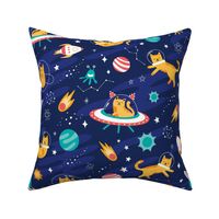 Large Intergalactic Space Cats Alien Planets, Cosmos Constellations & stars